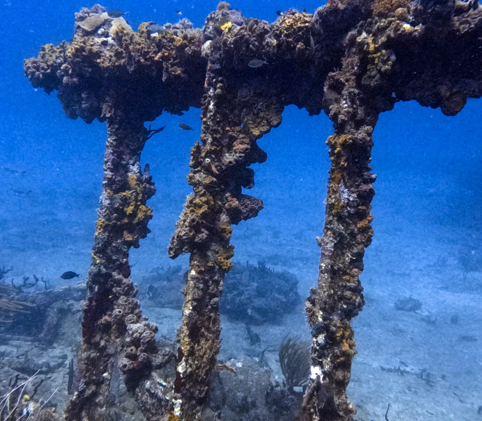 RMS Rhone, Salt Island